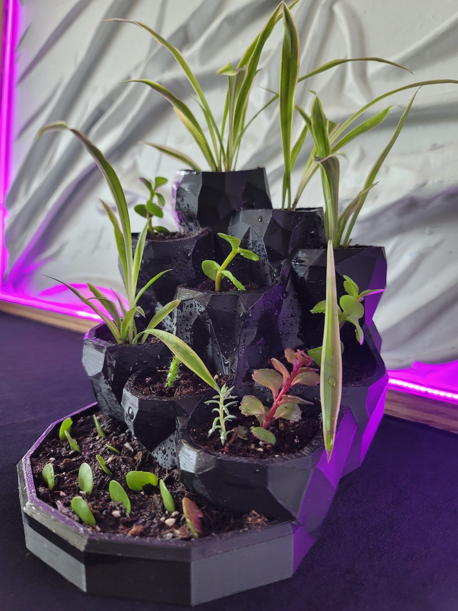 Faceted cascading planter printed in black and violet